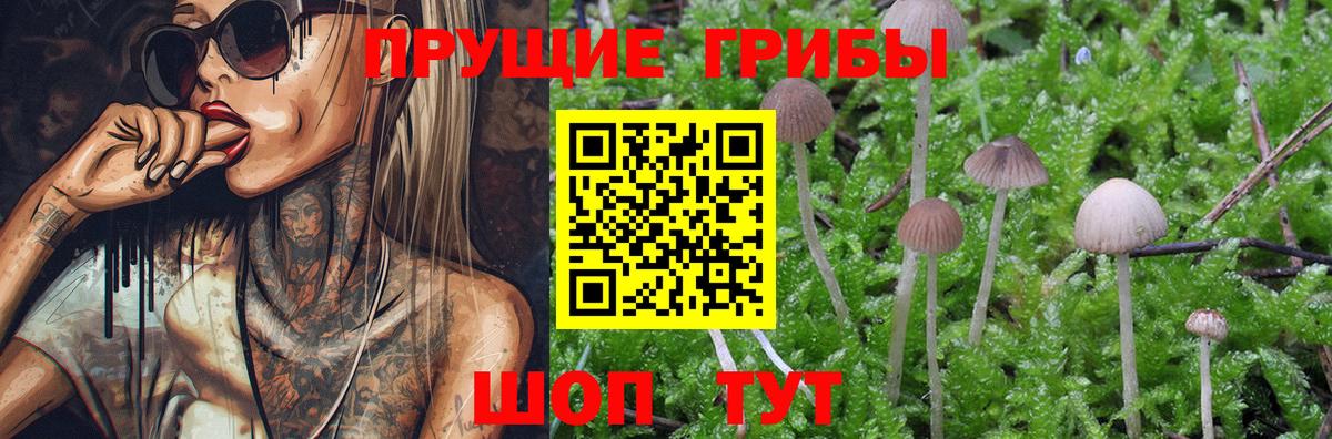 Меф кристаллы  Гашиш  Марихуана  Cocaine  ЭКСТАЗИ  Старый Оскол  NBOMe  Купить  Вход с VPN 