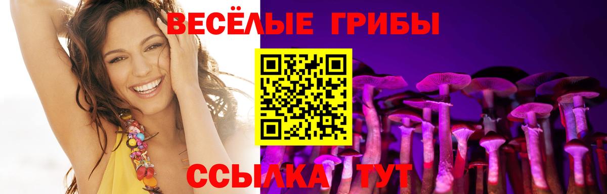 Старый Оскол  Псилоцибиновые грибы Magic Shrooms  Вход с VPN 